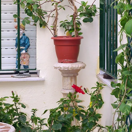 Azahara Albergue