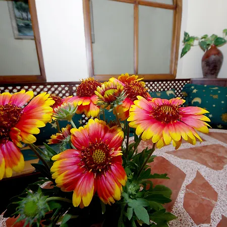 Albergue Azahara